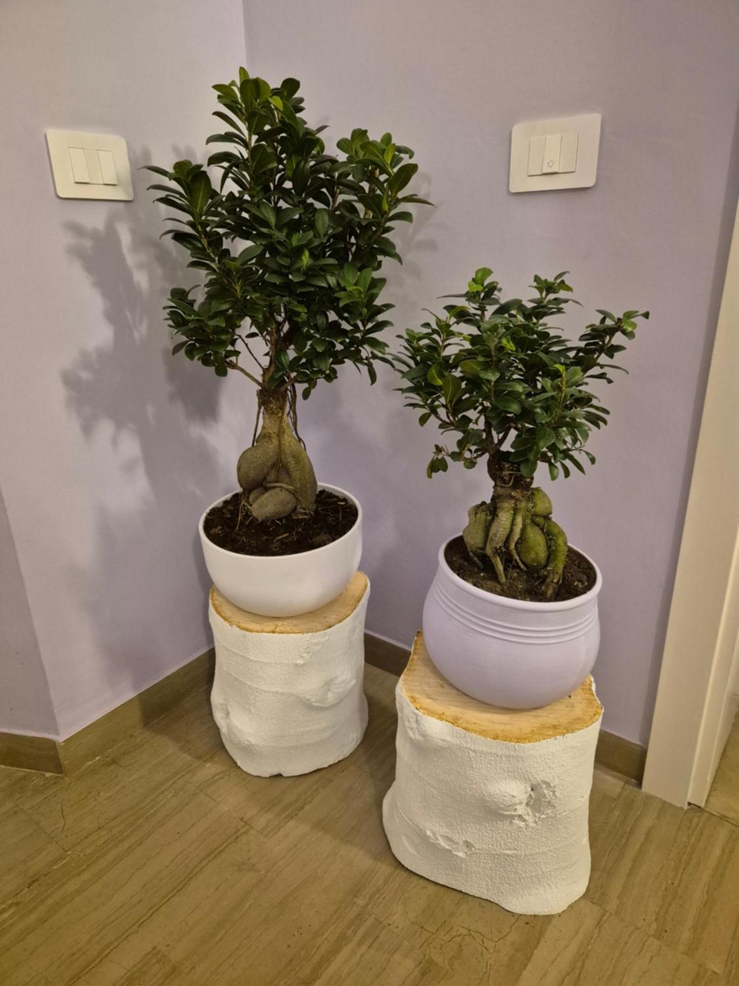Il Sogno Degli Angeli Apartment ซานตามาเรียเดกลิอันเจลิ ภายนอก รูปภาพ